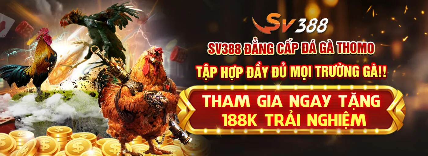 vn f8bet - Thiên Đường Cá Cược Đá Gà Trực Tuyến